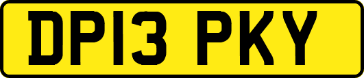 DP13PKY