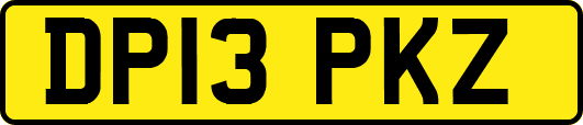 DP13PKZ