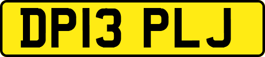 DP13PLJ