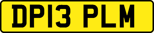 DP13PLM