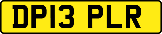 DP13PLR
