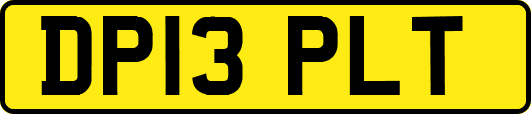 DP13PLT