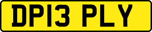 DP13PLY