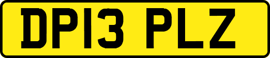 DP13PLZ