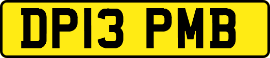 DP13PMB