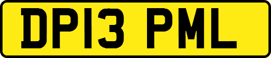 DP13PML