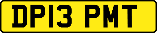 DP13PMT