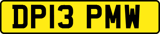 DP13PMW