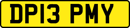 DP13PMY