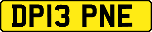 DP13PNE