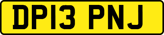 DP13PNJ