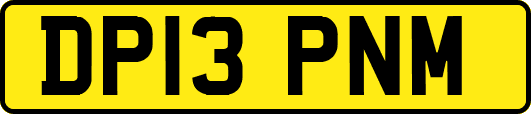 DP13PNM