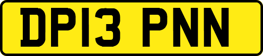 DP13PNN