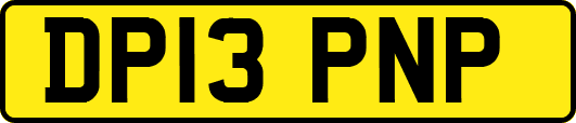 DP13PNP