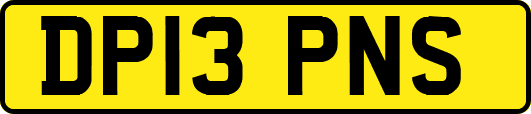 DP13PNS