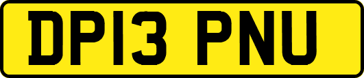 DP13PNU