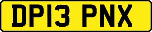 DP13PNX
