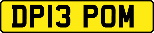 DP13POM