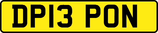 DP13PON