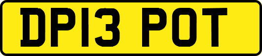 DP13POT