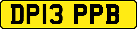 DP13PPB