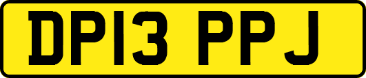 DP13PPJ