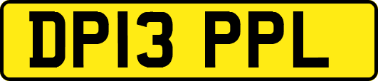 DP13PPL