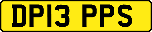 DP13PPS