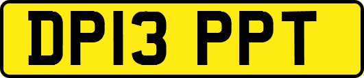 DP13PPT