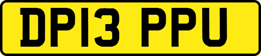 DP13PPU