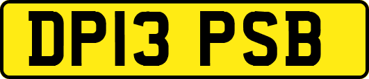 DP13PSB