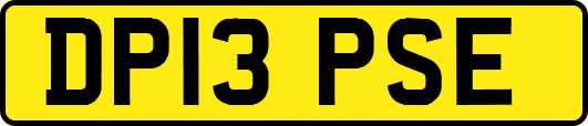 DP13PSE