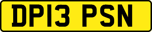 DP13PSN