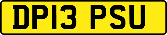 DP13PSU
