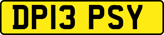 DP13PSY