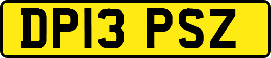 DP13PSZ