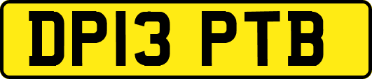 DP13PTB