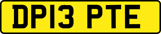 DP13PTE