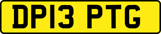 DP13PTG