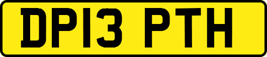 DP13PTH