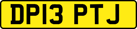 DP13PTJ