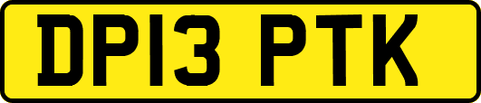 DP13PTK