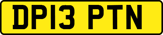 DP13PTN