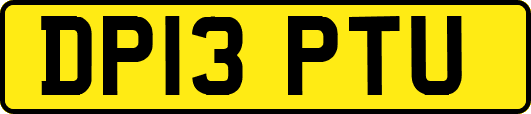 DP13PTU