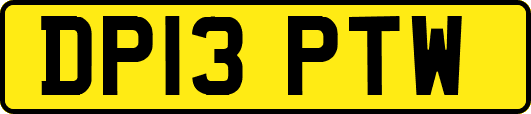 DP13PTW