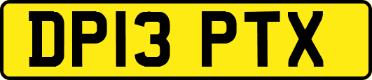 DP13PTX