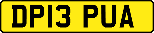 DP13PUA