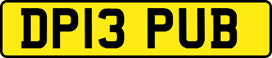 DP13PUB