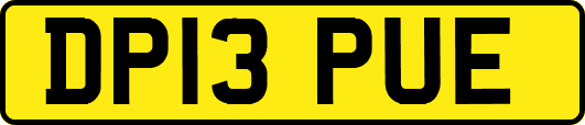 DP13PUE