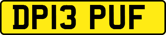 DP13PUF